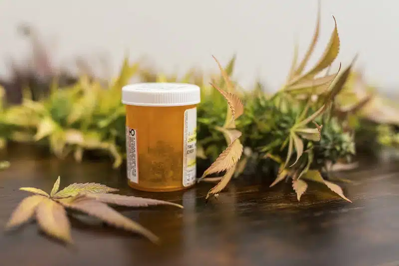 Le CBD, une alternative efficace aux médicaments pour les douleurs chroniques