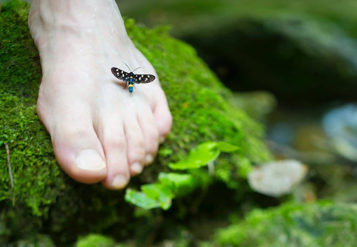 Les curiosités anatomiques des pieds : découvrez les noms surprenants des différents orteils